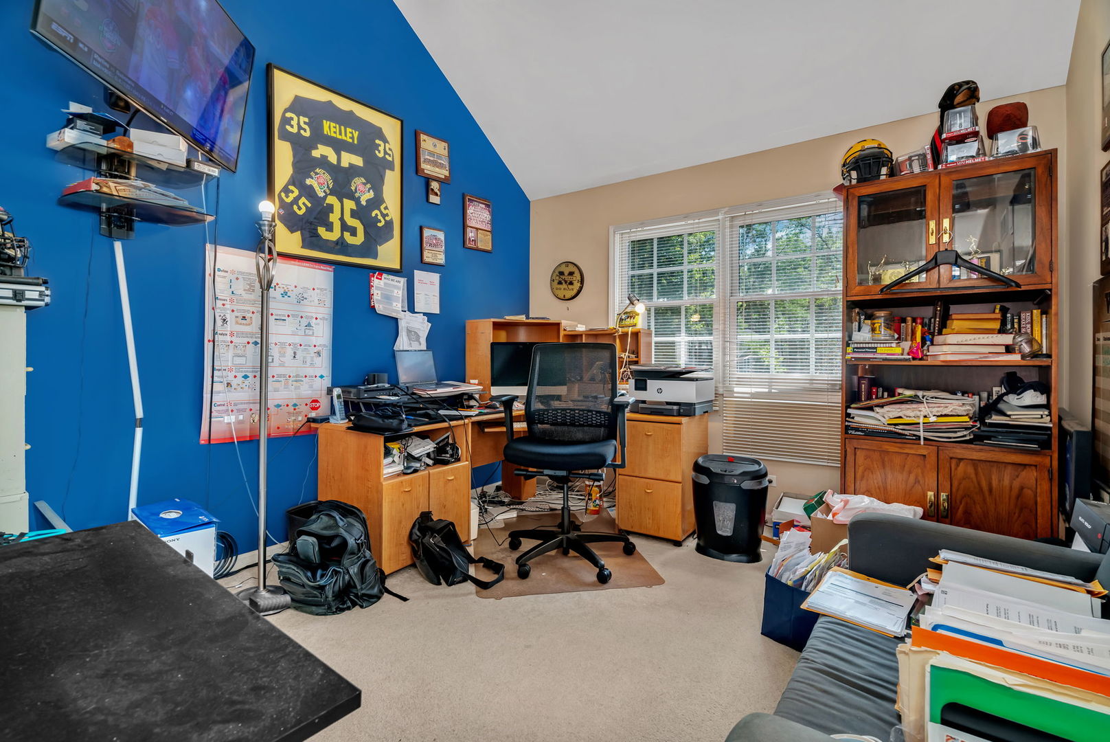 745 Feather Sound Drive Bolingbrook, IL 60440 - Photo 17 of 38 a room with furniture and a window