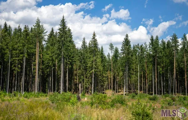 $55,000 | 0 Bayou Cumbest Road, Moss Point, MS 39562