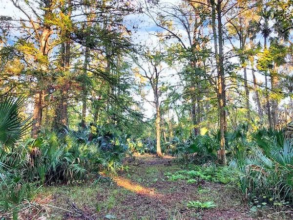 a view of a golf course