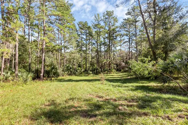 a view of a city with lots of trees