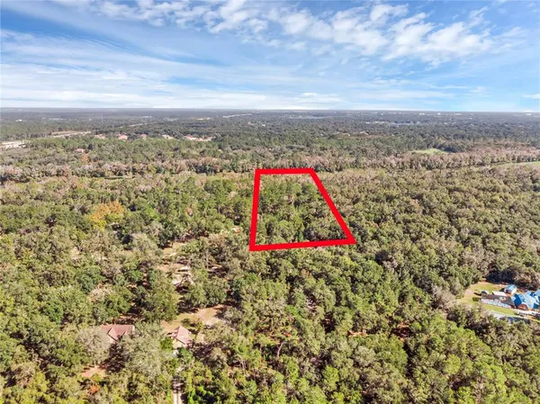 a view of a bench in a yard