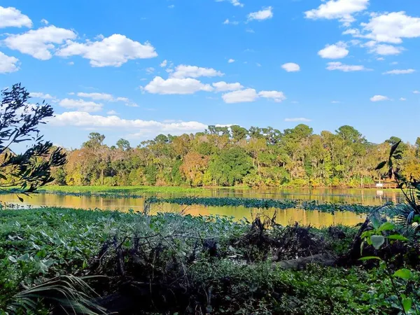 a view of a lake with houses in the back