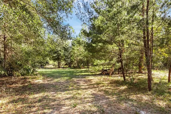 a yard with trees in the background