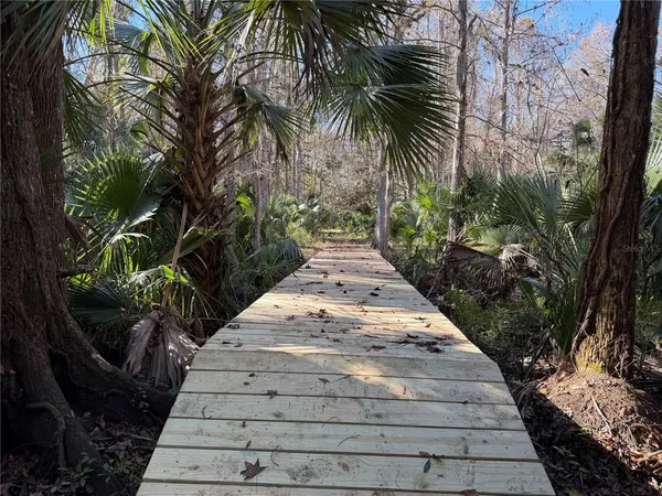 a view of a backyard with plants