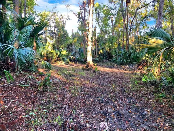 a backyard of a house with lots of green space