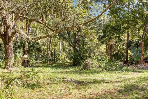 a view of outdoor space with a yard