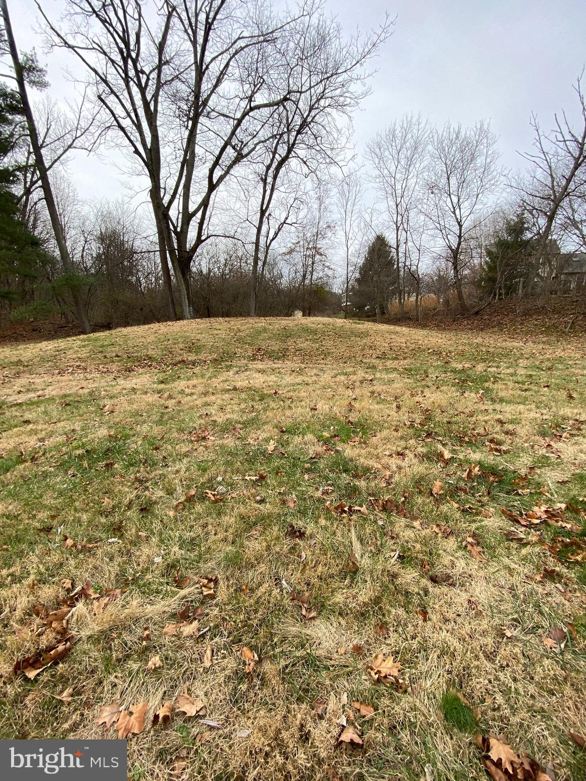 470 Plum Alley Spring City, PA 19475 - Photo 5 of 10