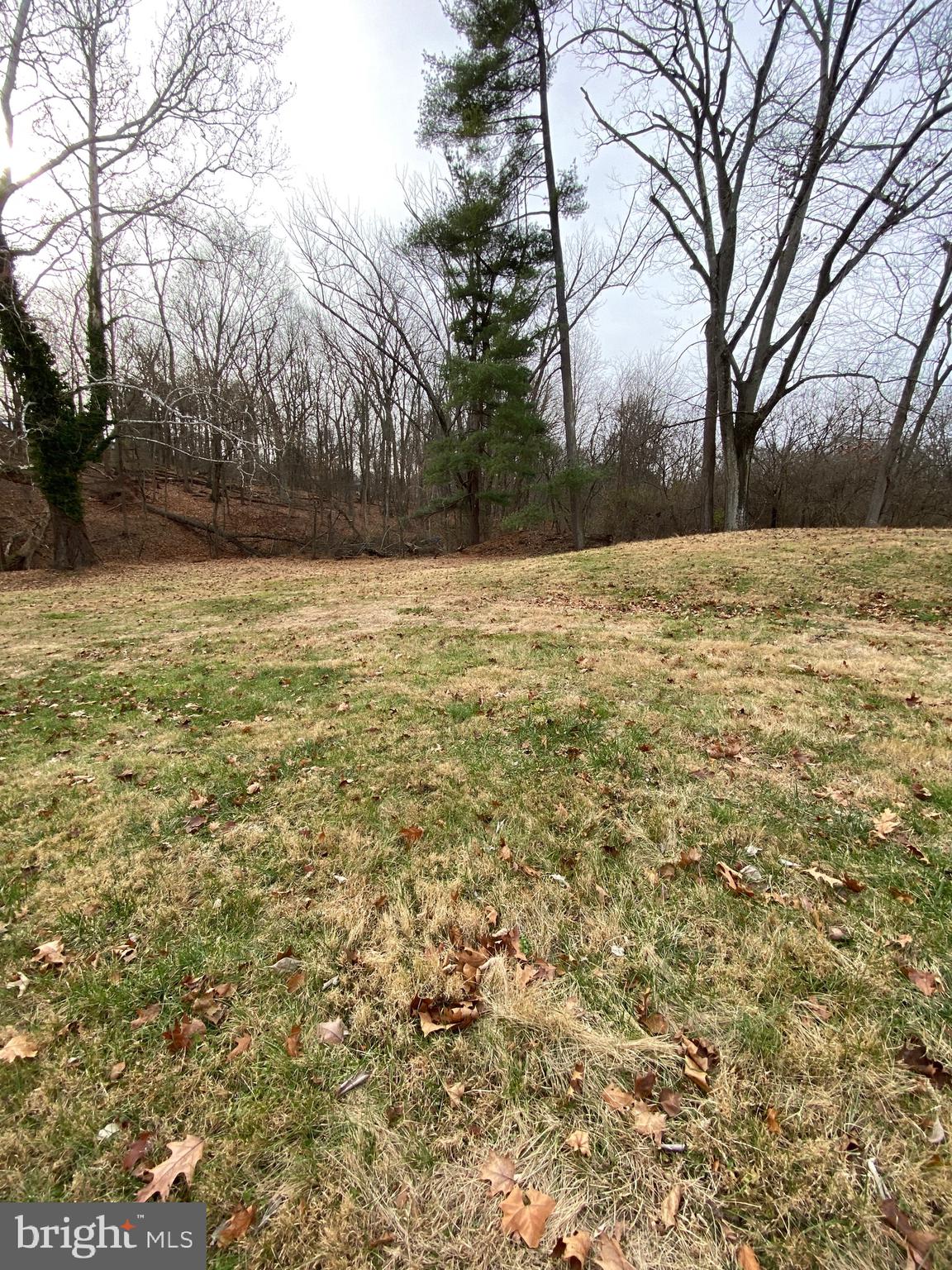 470 Plum Alley Spring City, PA 19475 - Photo 6 of 10