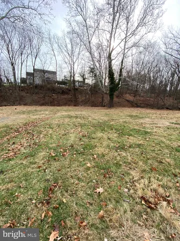 a view of yard with trees