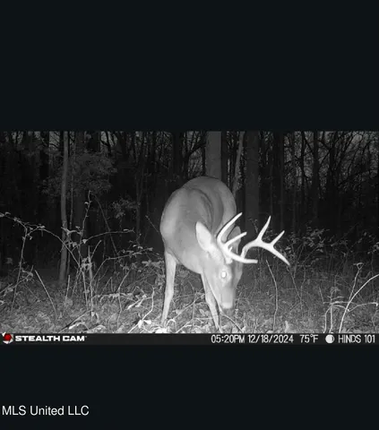 $415,000 | 11283 Midway Road, Raymond, MS 39154