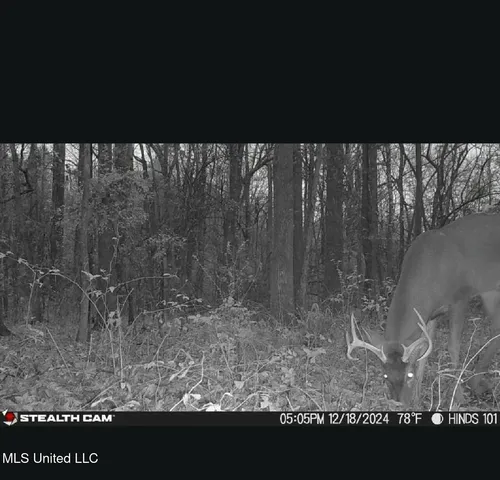 $415,000 | 11283 Midway Road, Raymond, MS 39154