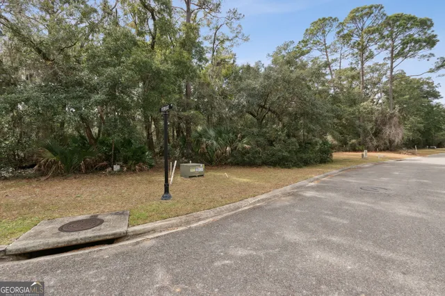 a view of a field with trees in the background