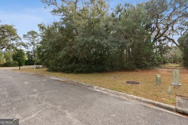 a view of a field with trees in background
