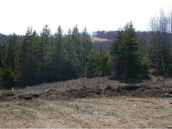 Off Harvey`s Hollow Road Danville, VT 05828 - Photo 1 of 5 Gallery Image 1