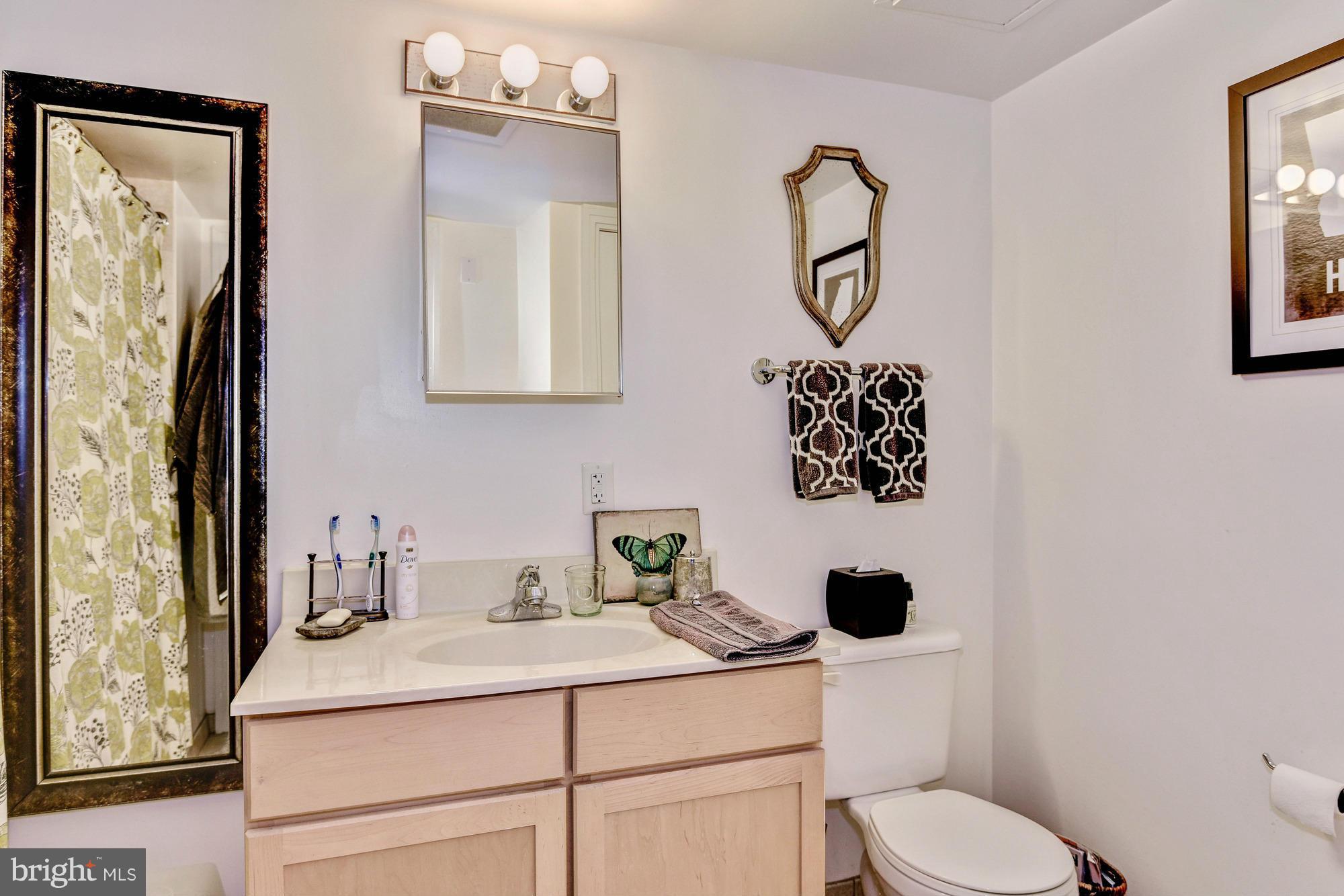 800 4th Street Southwest, Unit S615 Washington, DC 20024 - Photo 14 of 28 a bathroom with a toilet sink vanity and mirror