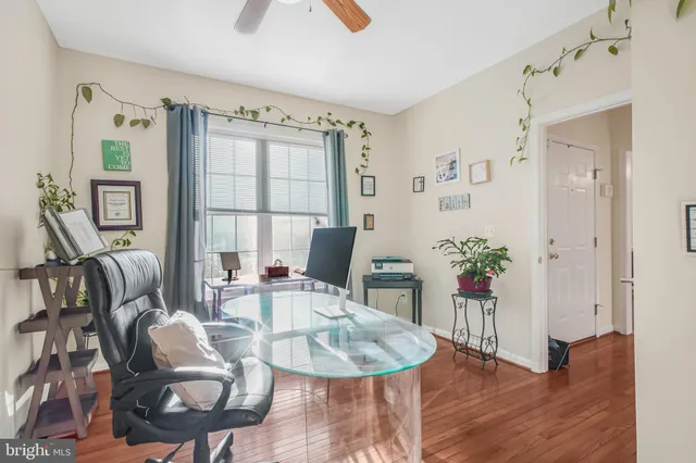 a living room with furniture potted plant and a window