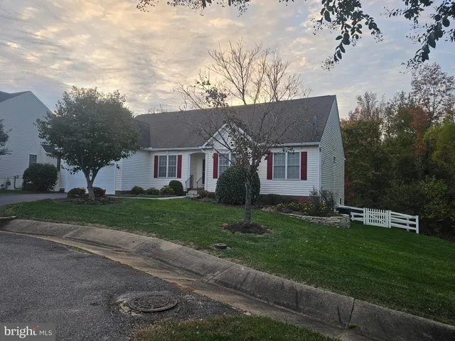 a view of a yard in front of a house with plants and large trees