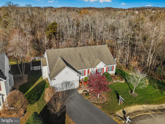 aerial view of a house with a yard and large tree