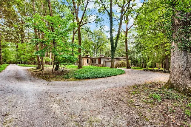 a view of a yard with plants and a trees