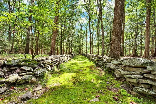 a view of swimming pool and trees