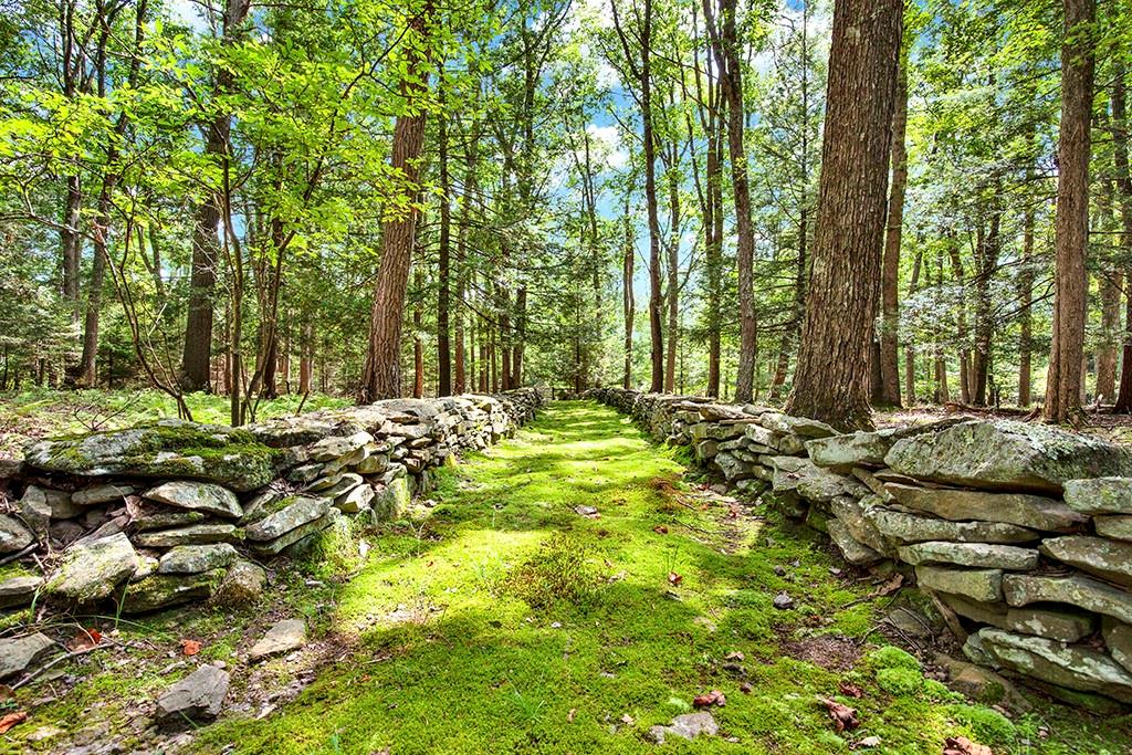114 Forelle Lane Ligonier, PA 15658 - Photo 36 of 43 a view of swimming pool and trees