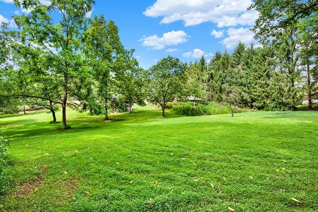 a view of green field with trees in the background