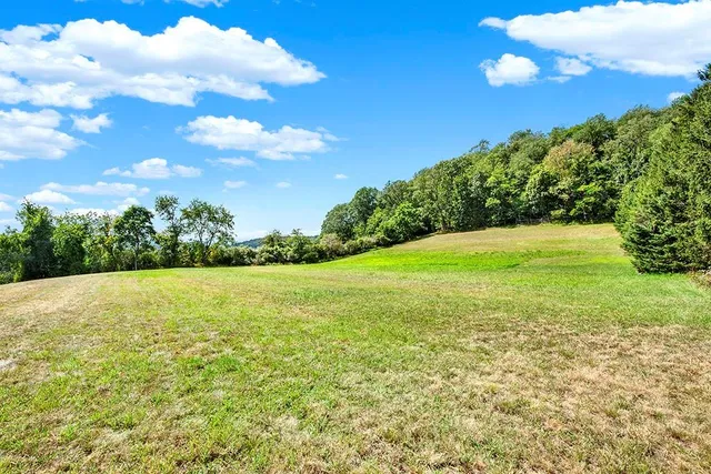 a view of an ocean and a yard