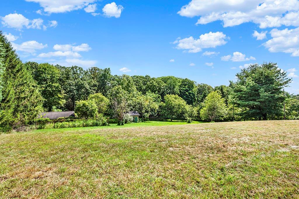 114 Forelle Lane Ligonier, PA 15658 - Photo 41 of 43 a view of yard with green space