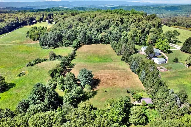 a view of a garden with a lot of plants