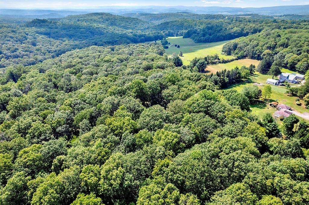 114 Forelle Lane Ligonier, PA 15658 - Photo 43 of 43 an aerial view of a house with a yard