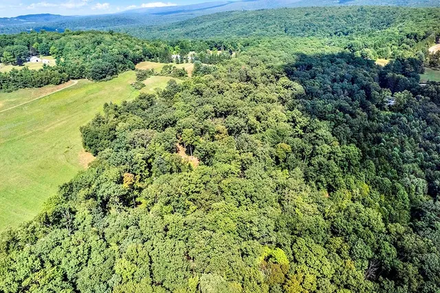 a view of a green field