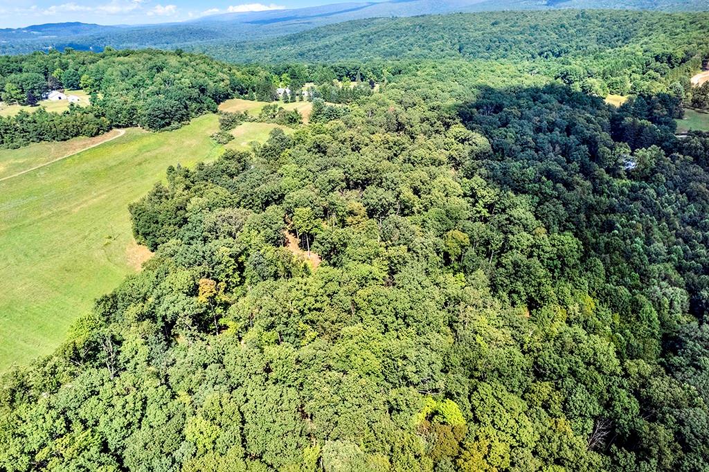 114 Forelle Lane Ligonier, PA 15658 - Photo 6 of 43 a view of a green field