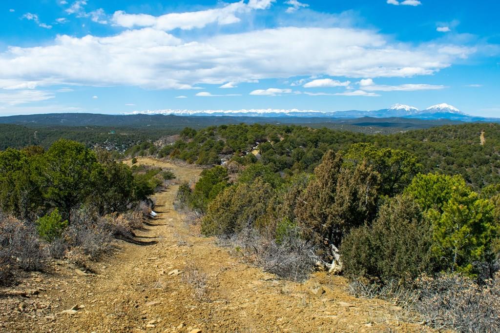 Tbd Turkey Run Trinidad, CO 81082 - Photo 51 of 60