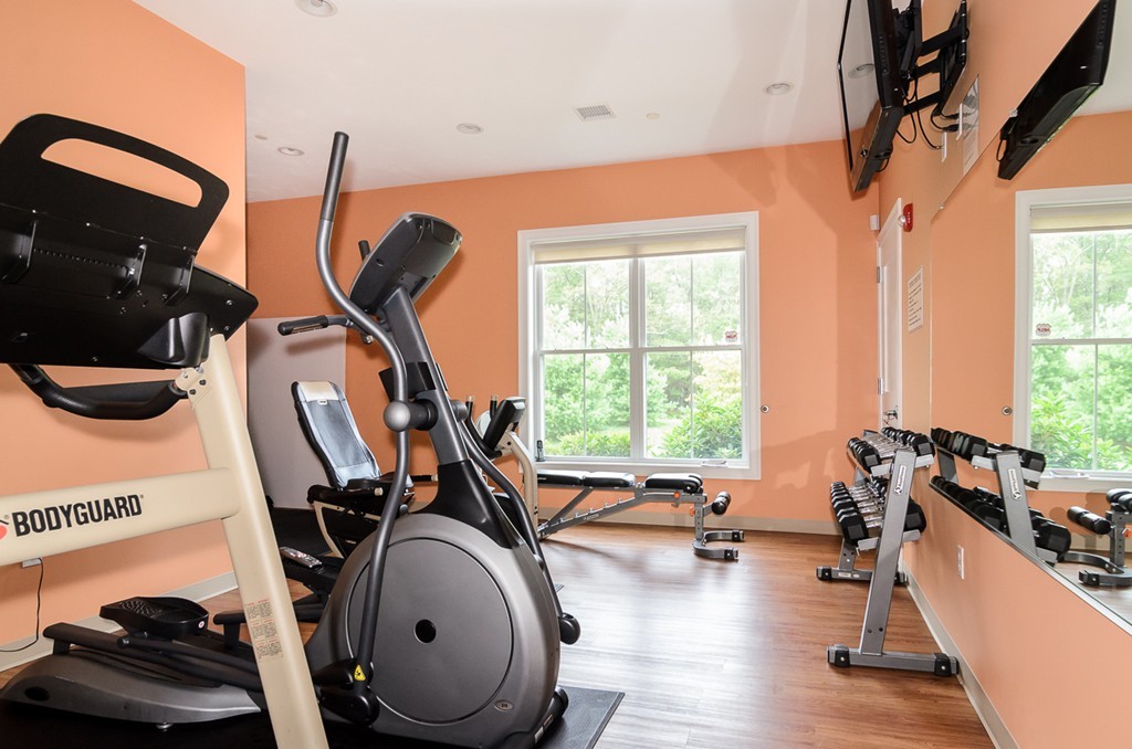 117 Grey Birch Road, Unit 117 Norfolk, MA 02056 - Photo 30 of 30 Gallery Image 30