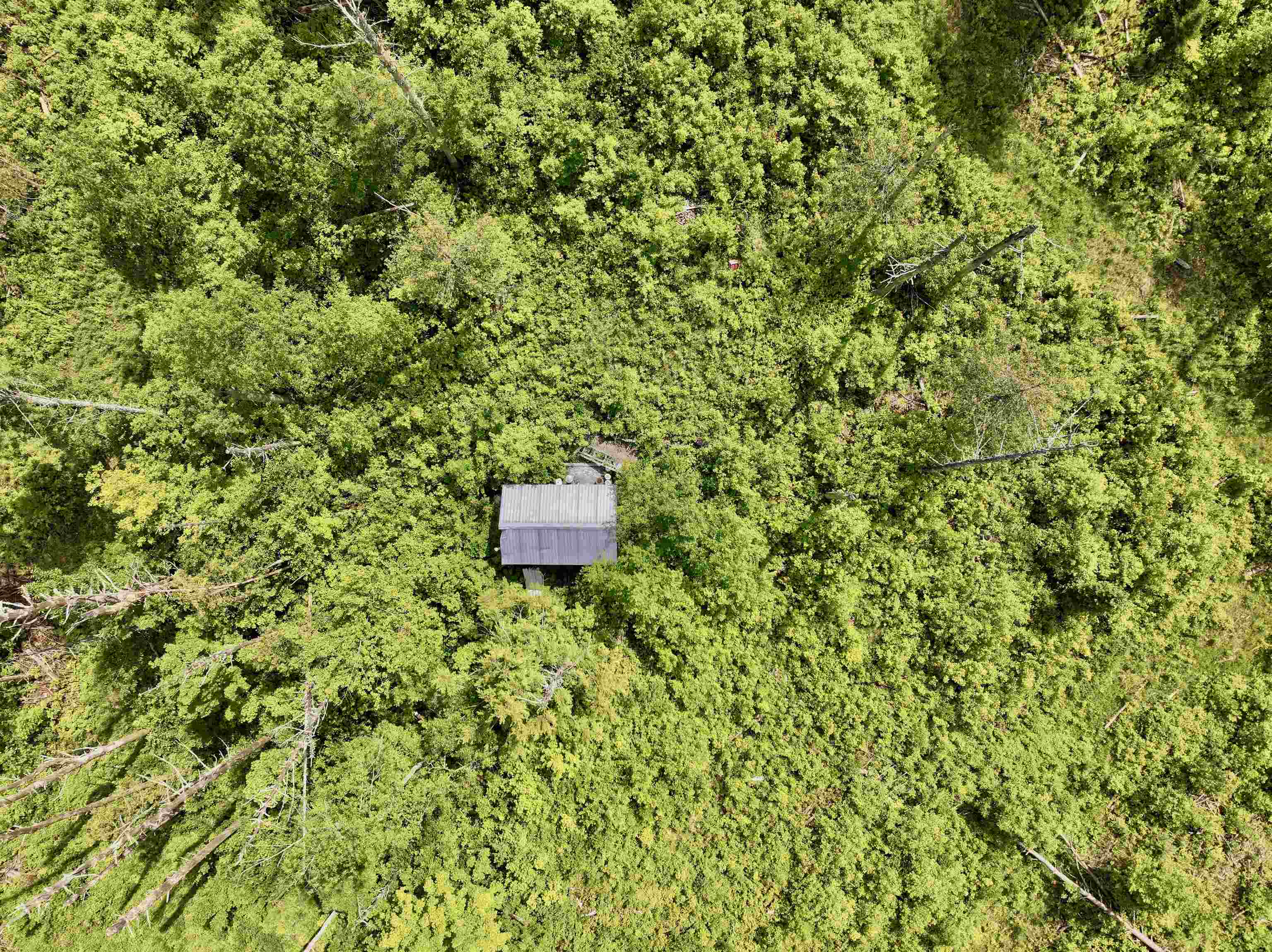 1723 Lightening Ridge Road Calais, VT 05667 - Photo 35 of 56