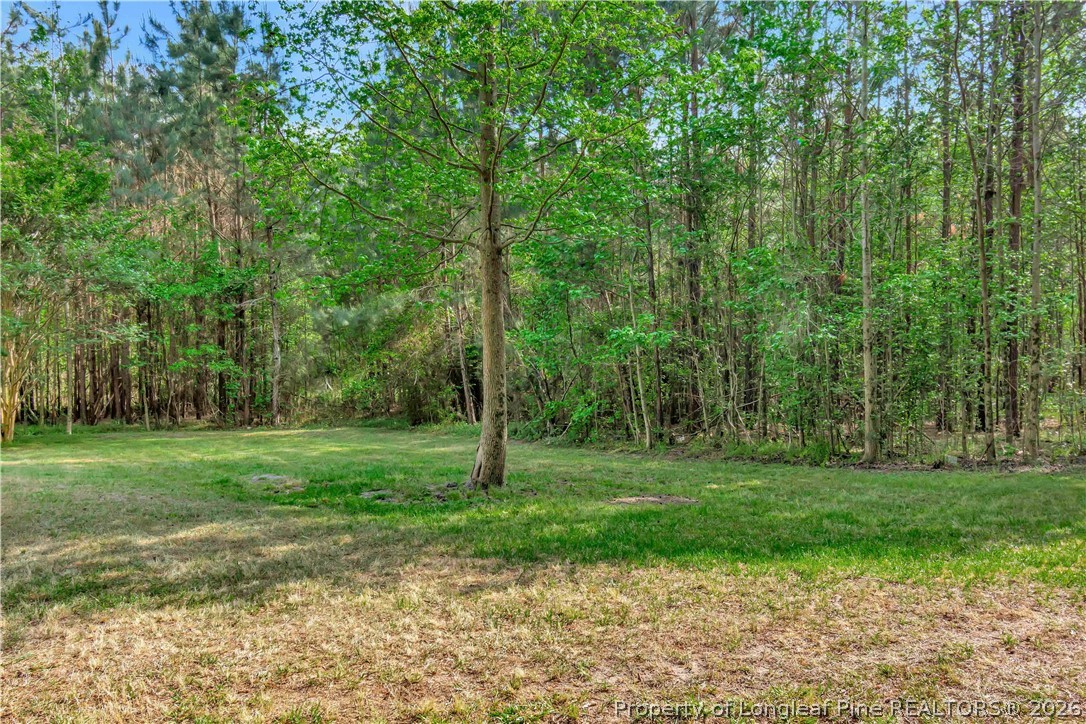 1234 Shaw Road St. Pauls, NC 28384 - Photo 30 of 30 a view of a grassy field with trees in the background