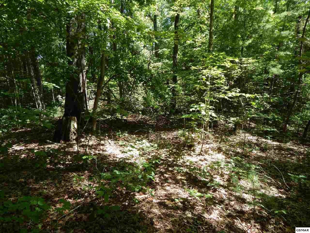 53 Pea Hollow Road Sevierville, TN 37876 - Photo 2 of 18 Gallery Image 2