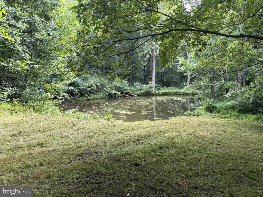 Jewell Hollow Road Luray, VA 22835 - Photo 13 of 23 Pond