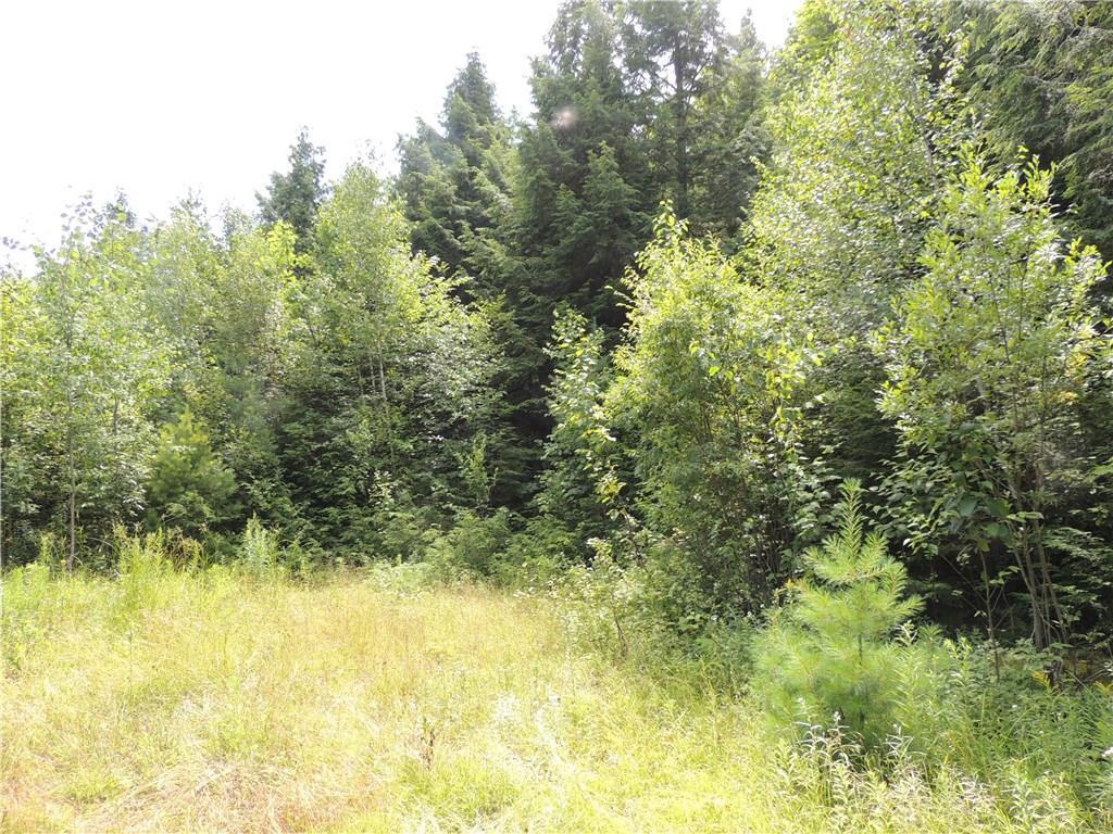 Tbd Frith Road Moscow, ME 04920 - Photo 6 of 7 Photo