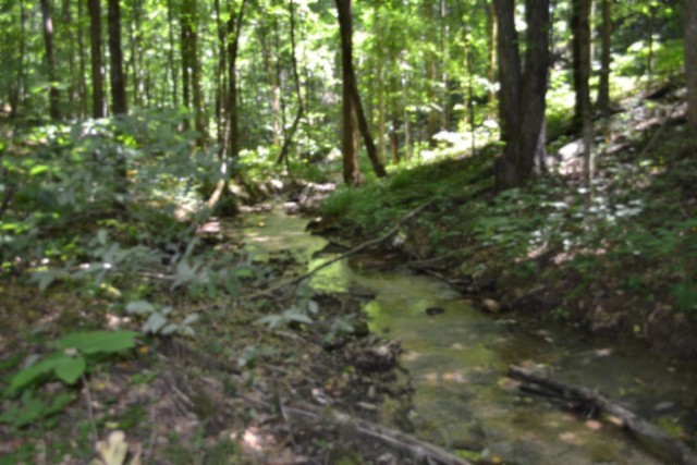 0 Pea Ridge Fire Tower Road Celina, TN 38551 - Photo 3 of 53