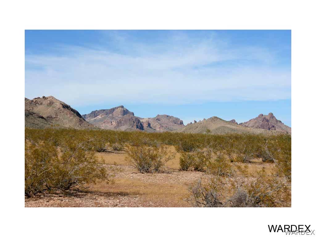4629 Hopi Road Golden Valley, AZ 86413 - Photo 3 of 11 a black and white photo of a lake in the background