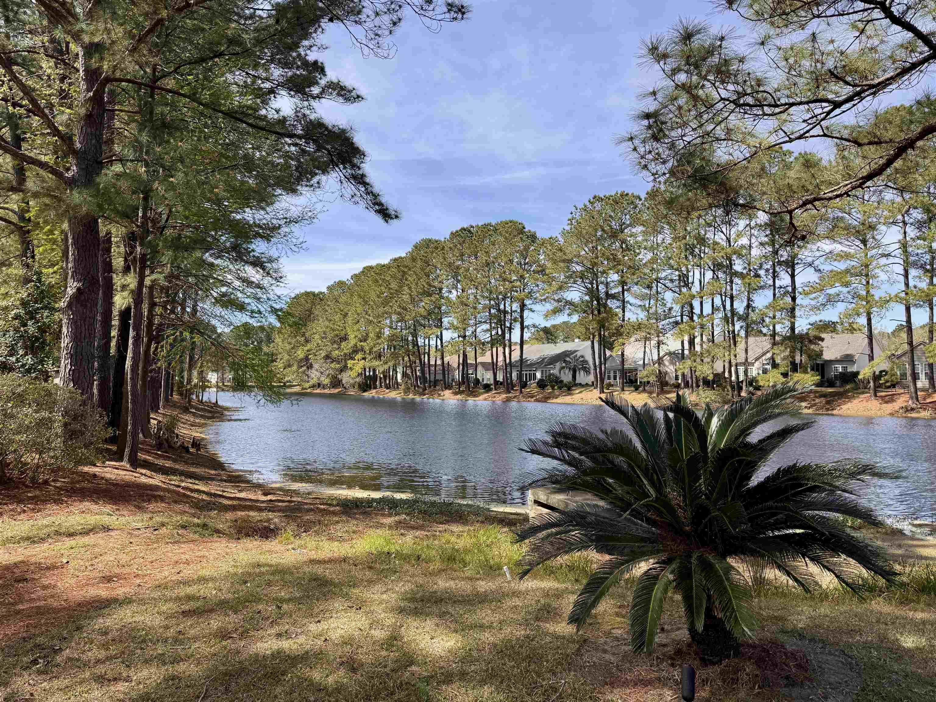 6486 Longwood Drive Murrells Inlet, SC 29576 - Photo 37 of 60