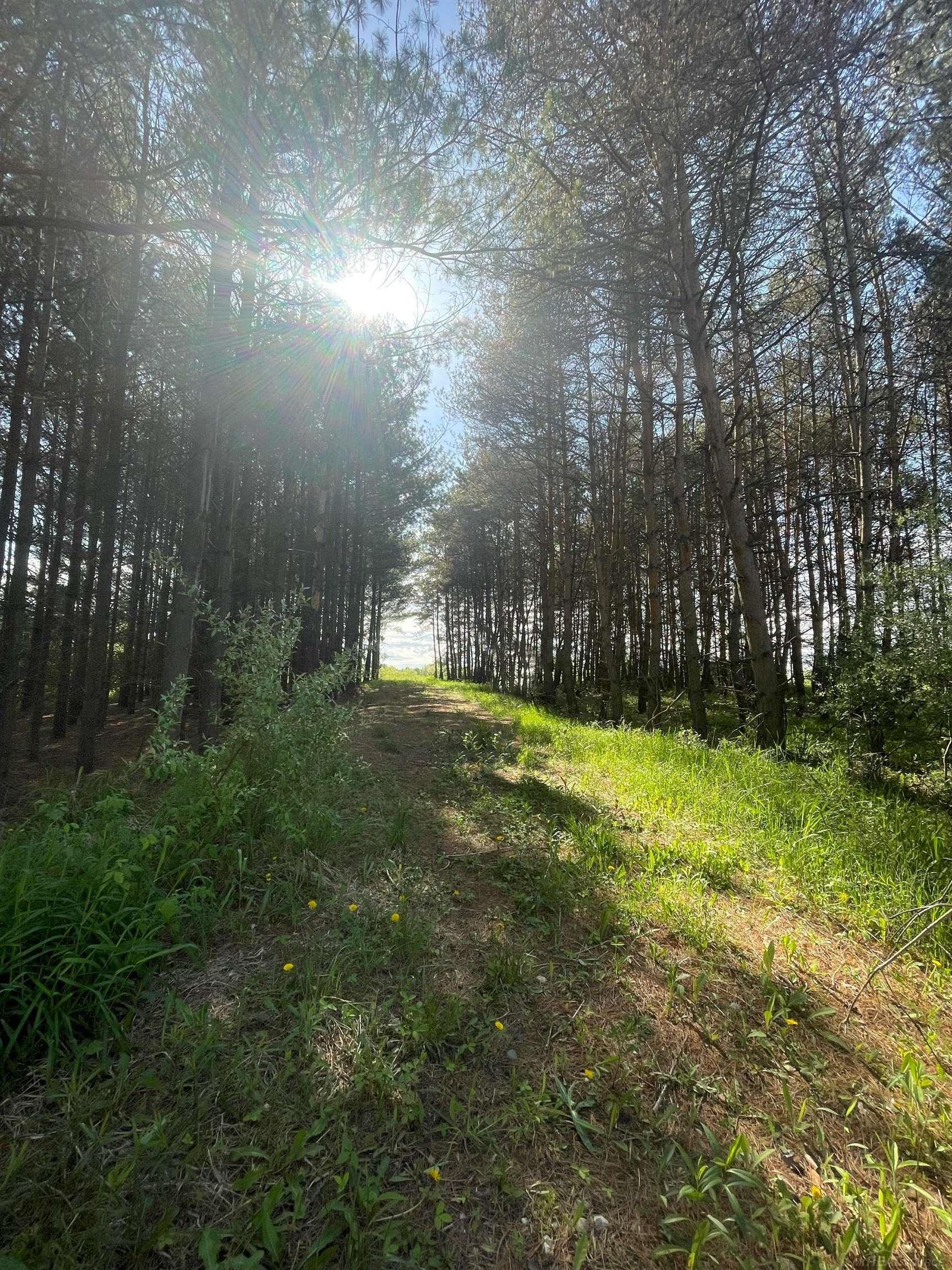 0 Miller Road Capac, MI 48014 - Photo 1 of 6