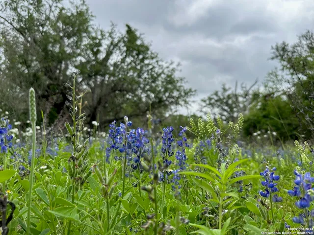 $1,423,200 | 7711 Devine Tx 78016, Devine, TX 78016