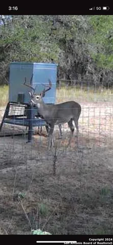 $1,423,200 | 7711 Devine Tx 78016, Devine, TX 78016