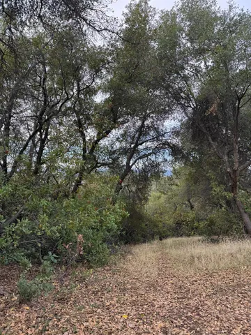 $300,000 | 0 Bowman Road, Pine Grove, CA 95665