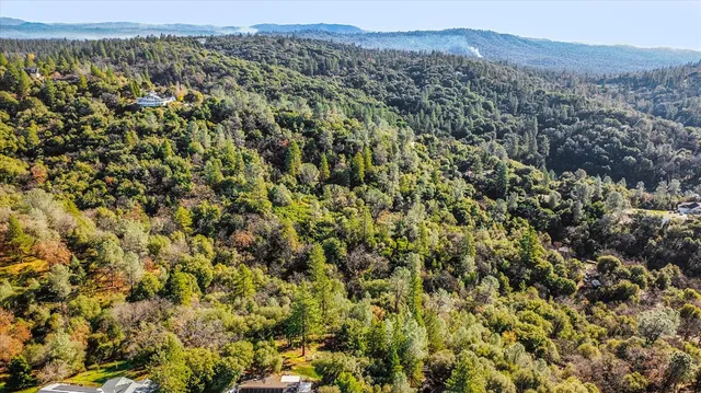 a view of a lush green hillside and houses