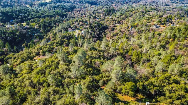 a view of a yard with an outdoor space