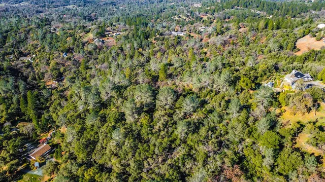 $300,000 | 0 Bowman Road, Pine Grove, CA 95665