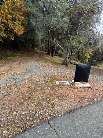 a backyard of a house with large trees and wooden fence